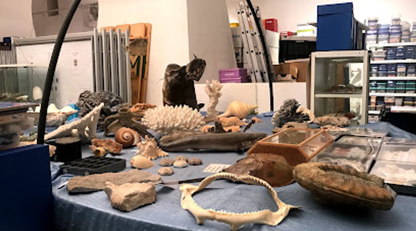 Background