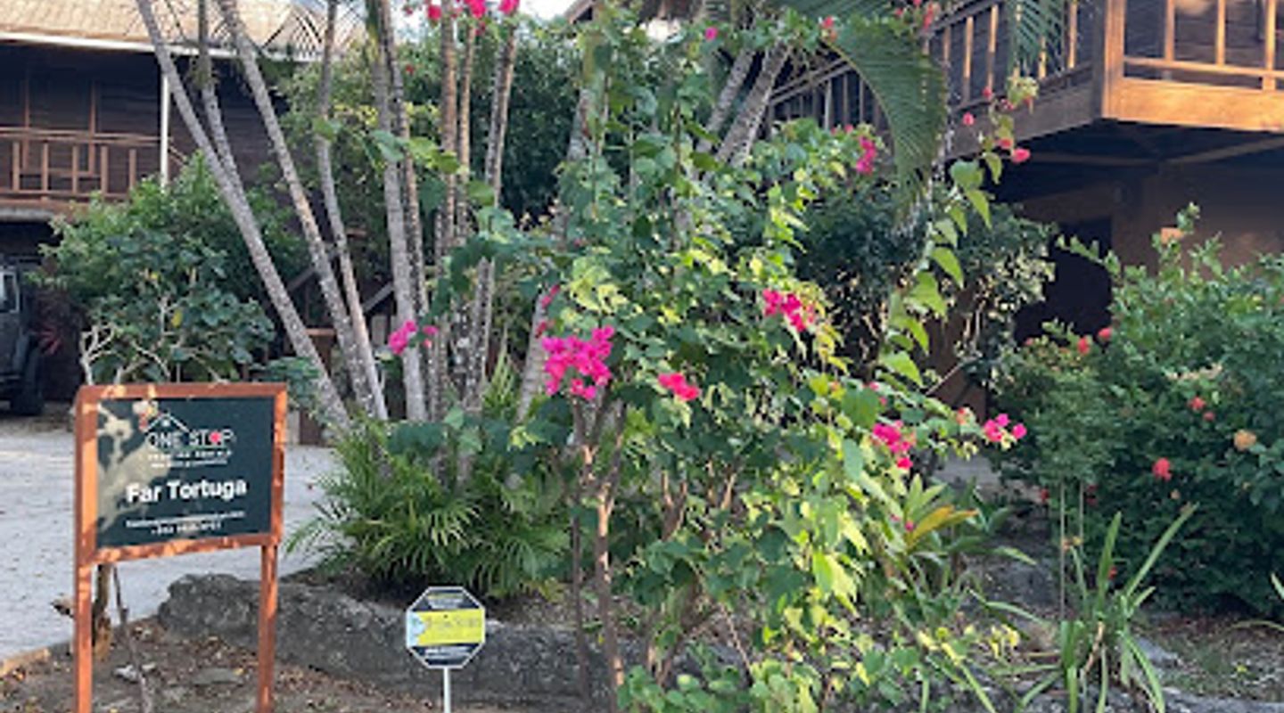 Background