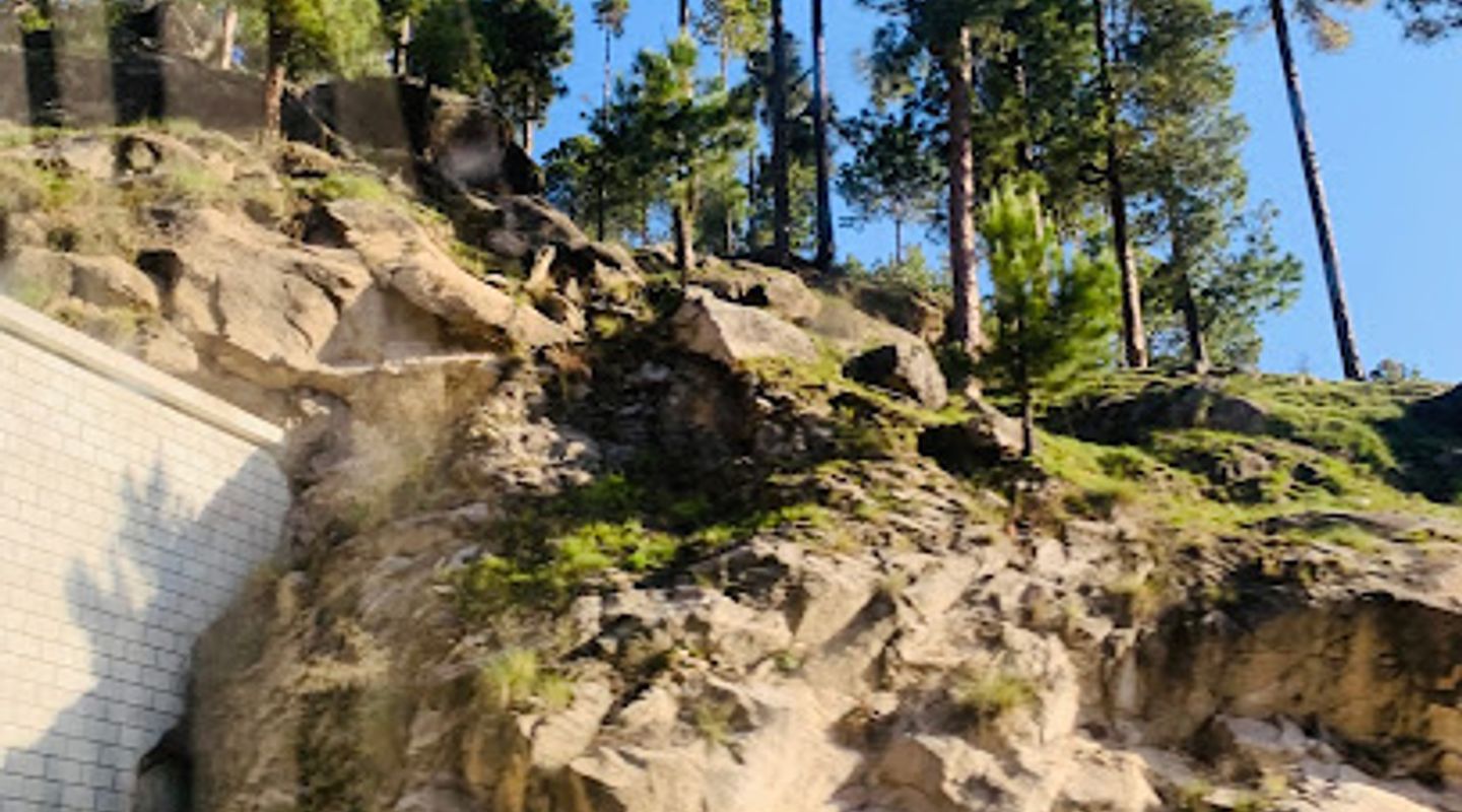 Background