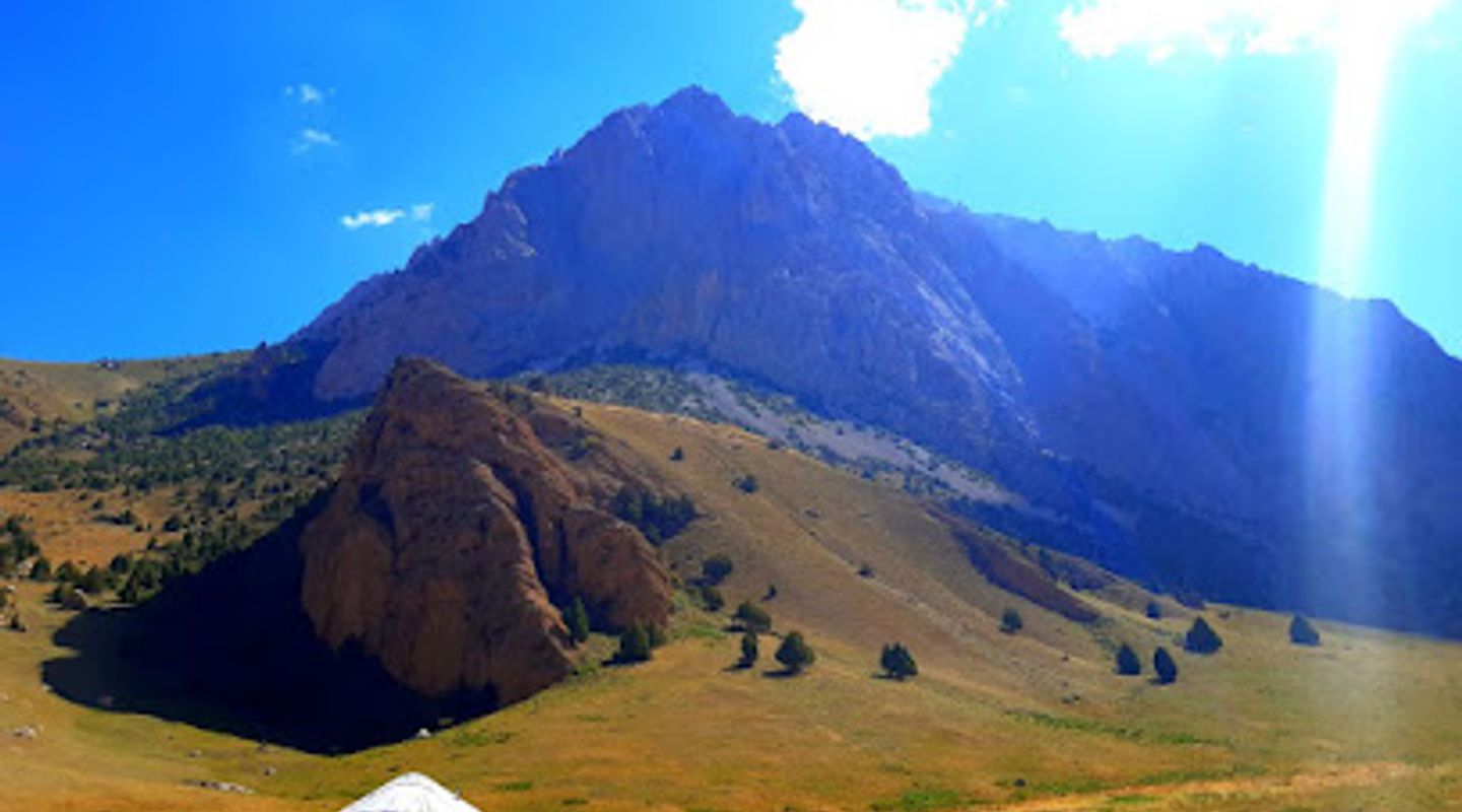 Background