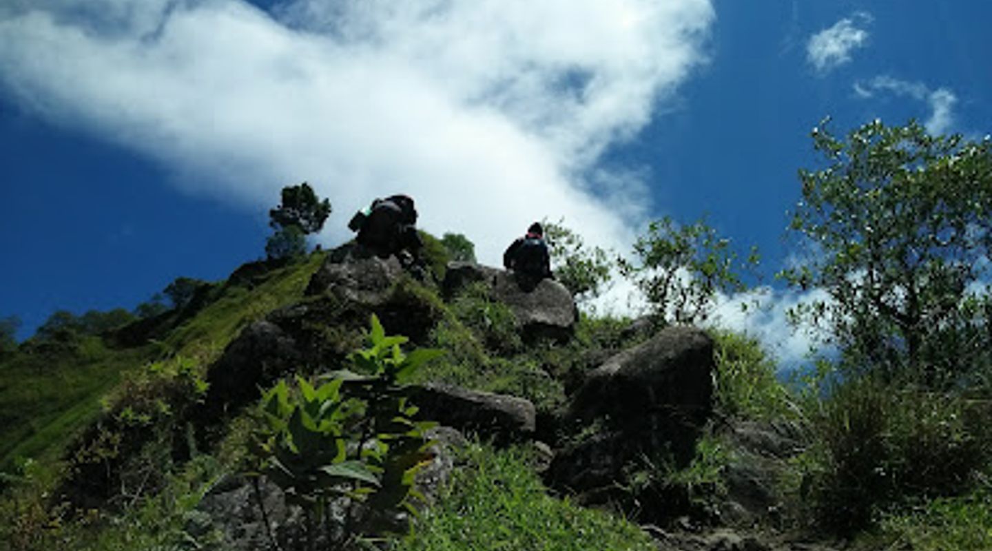Background