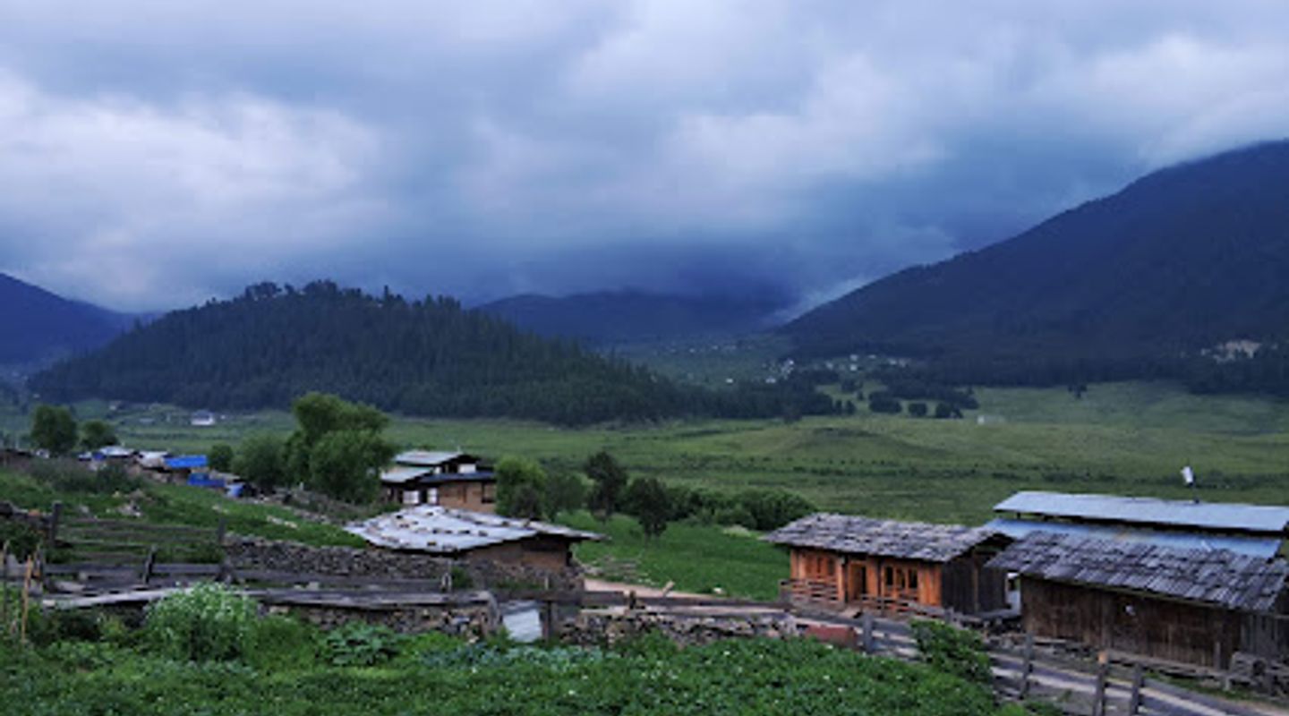 Background