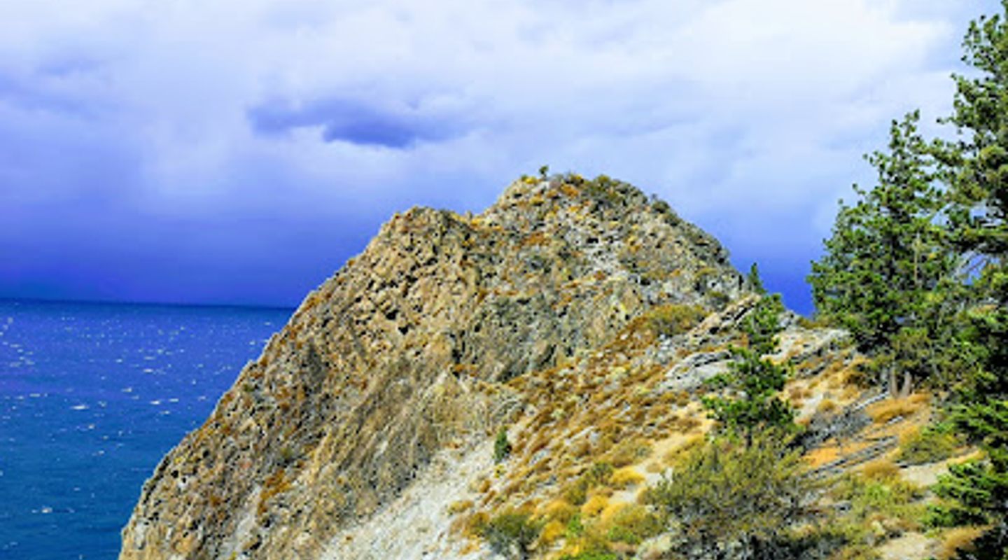 Background