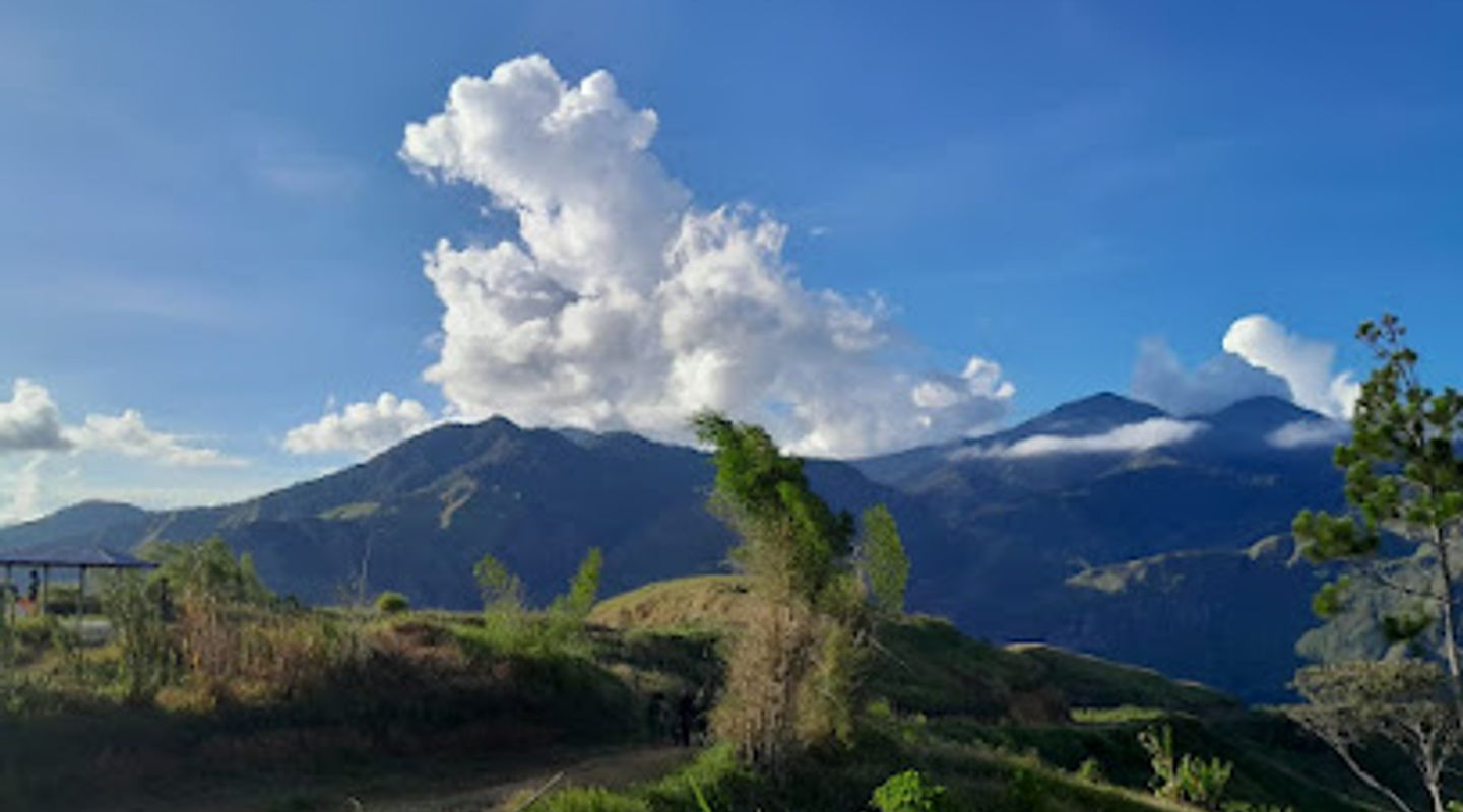 Background