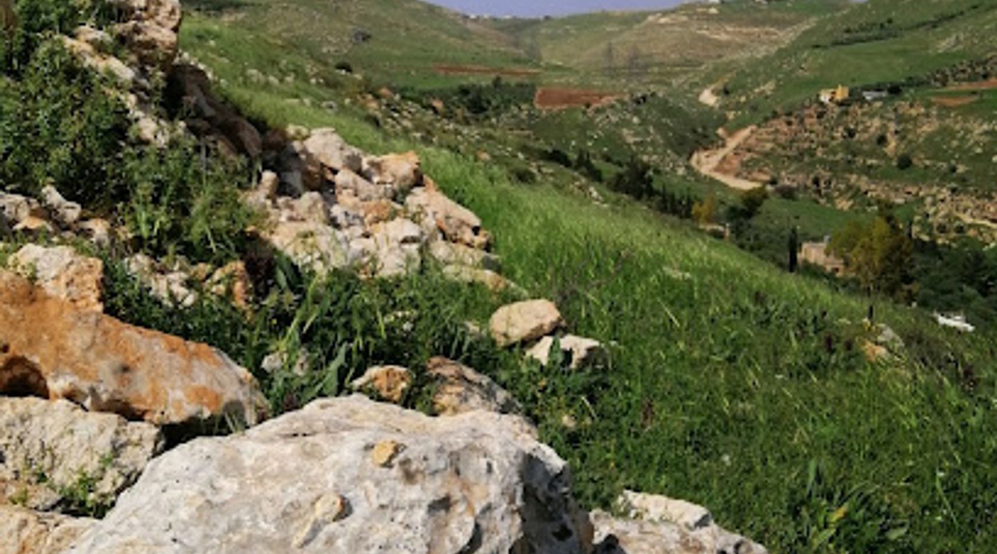 Background