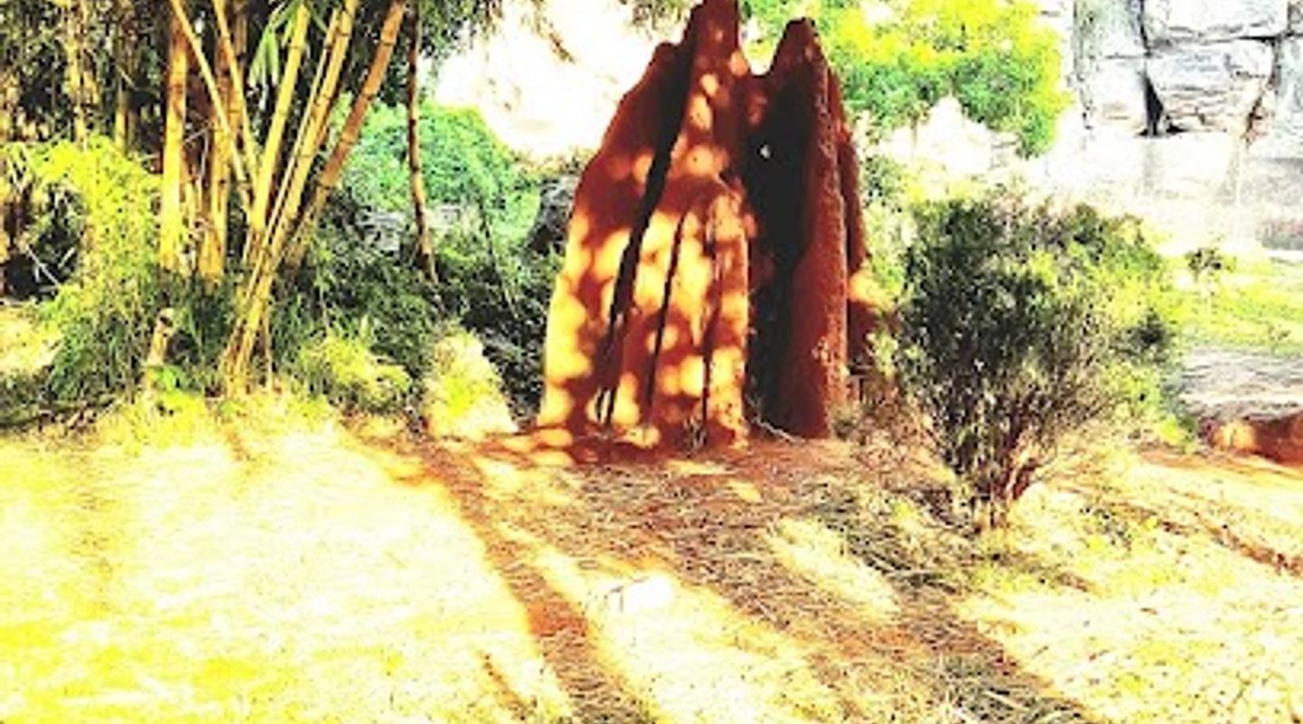 Background