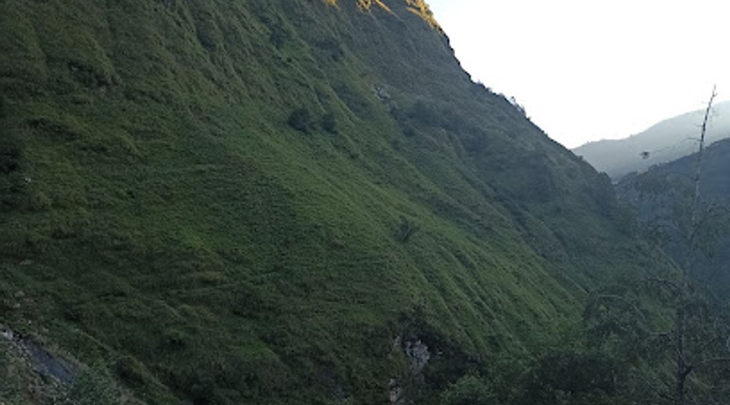 Background