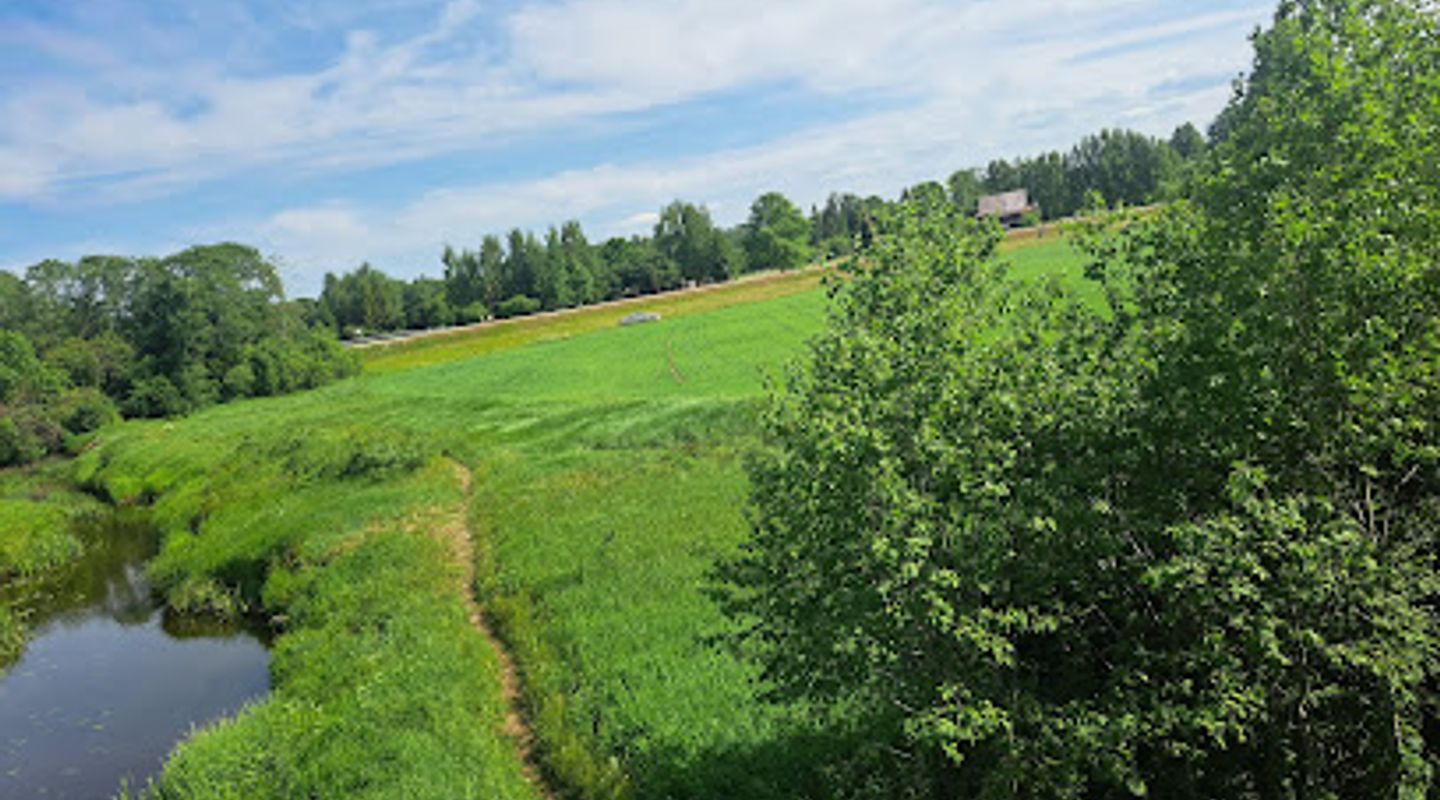 Background