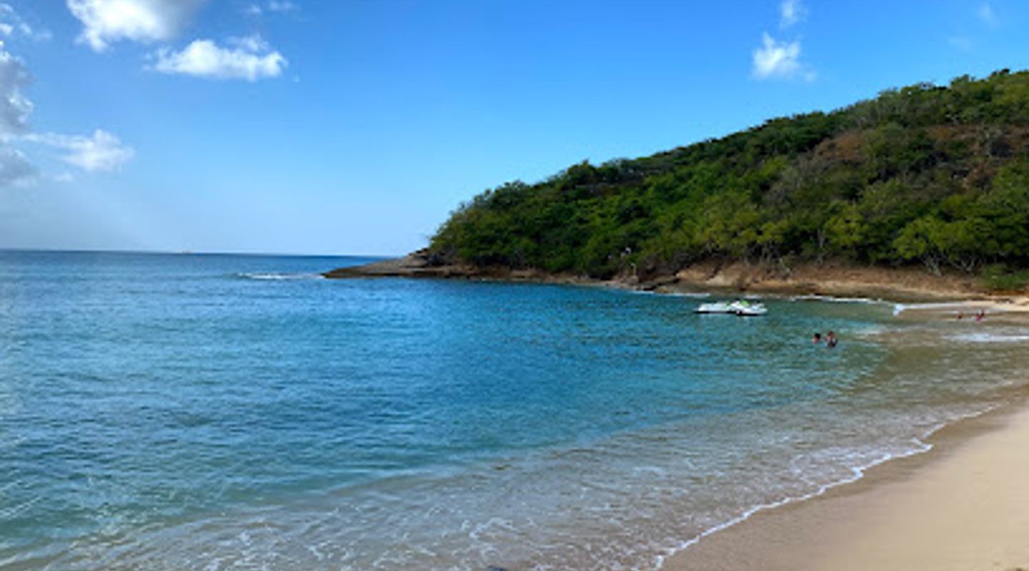 Background