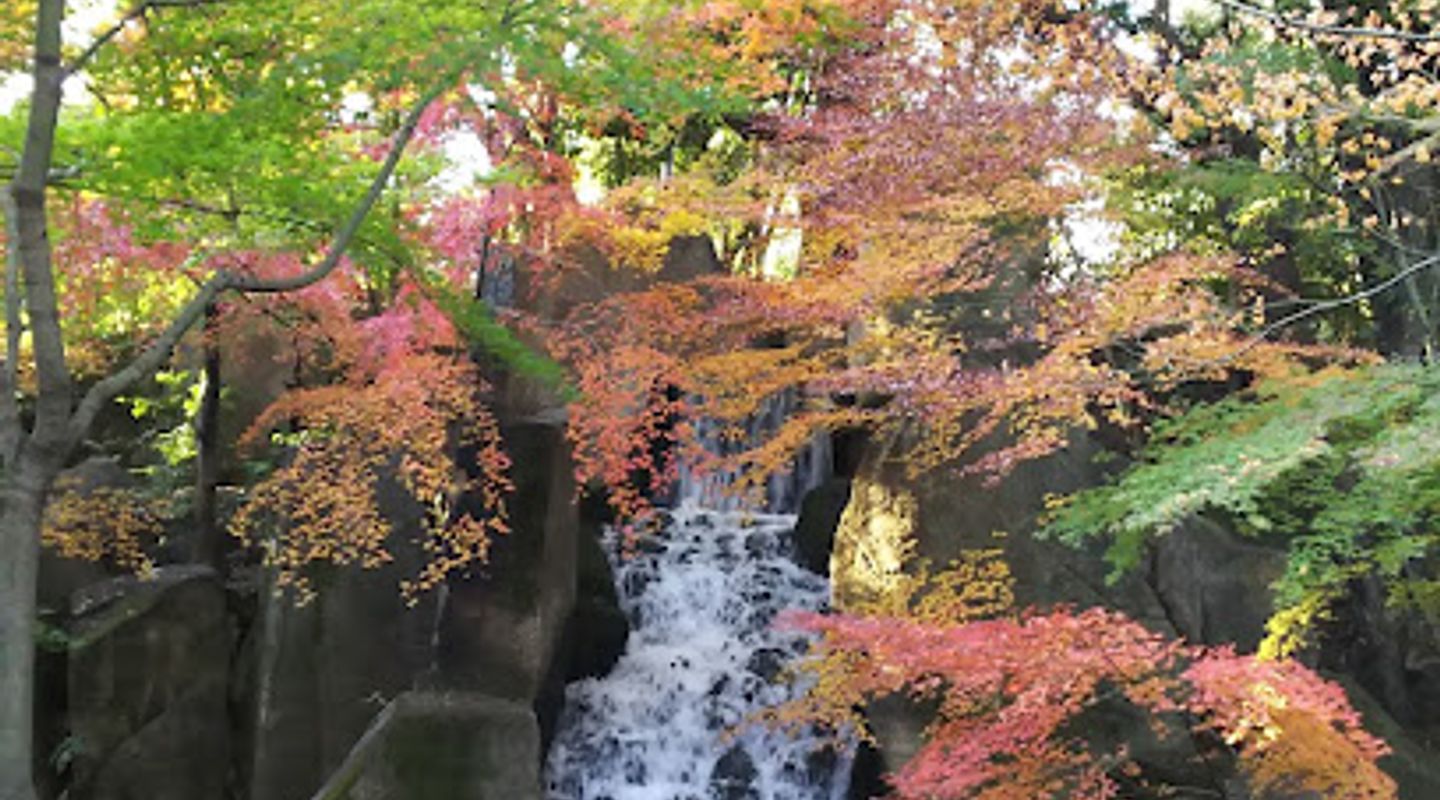 Background