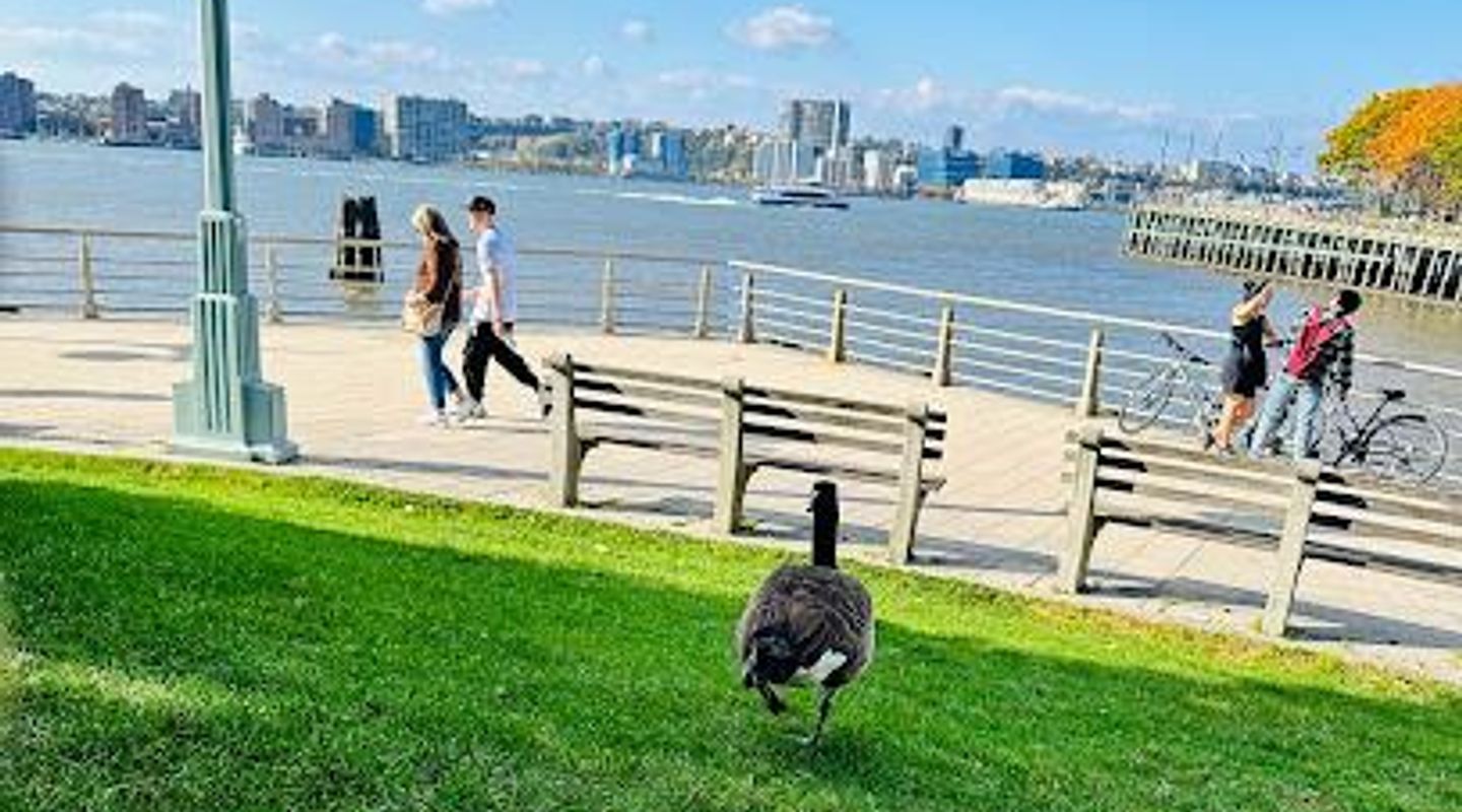 Background