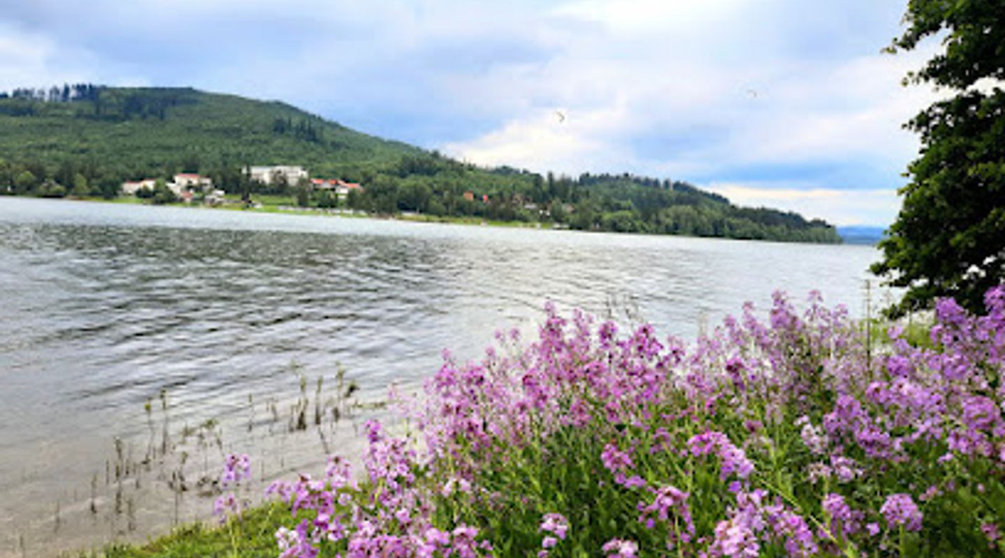 Background
