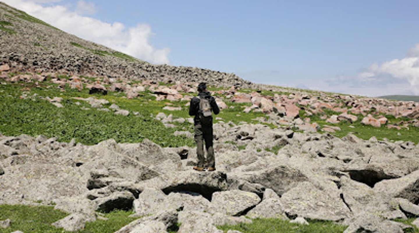 Background