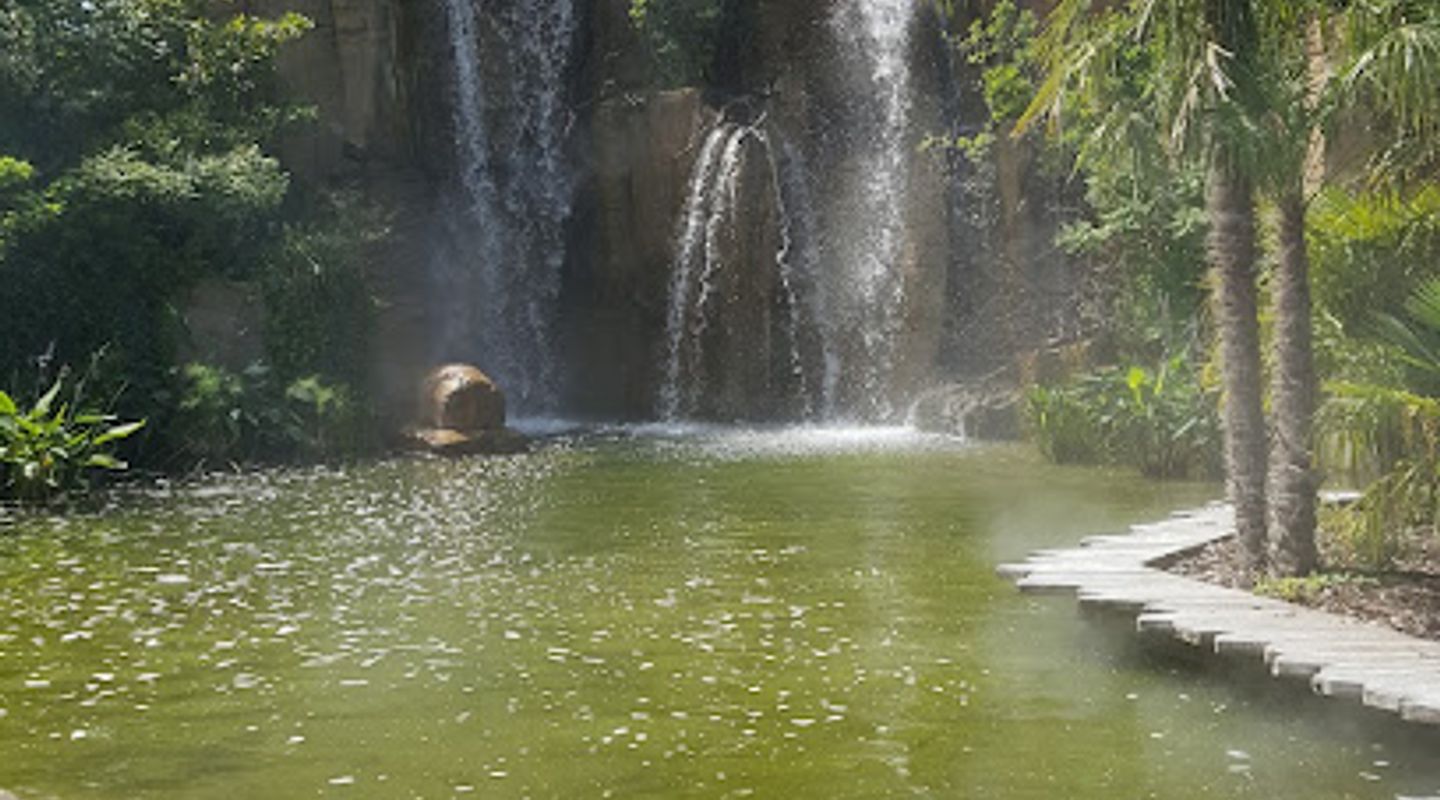 Background
