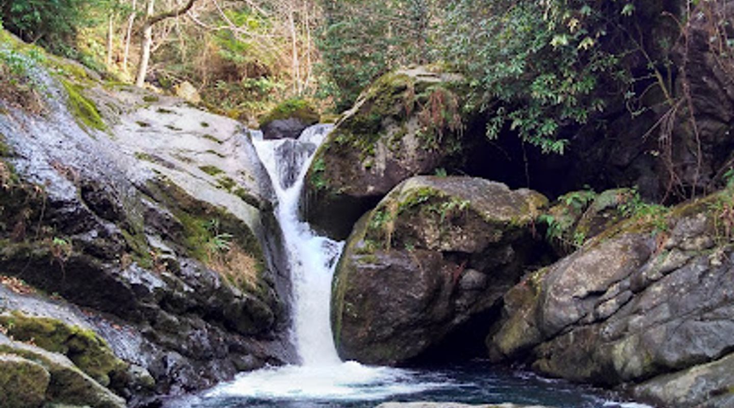 Chakvi Hiking Trail