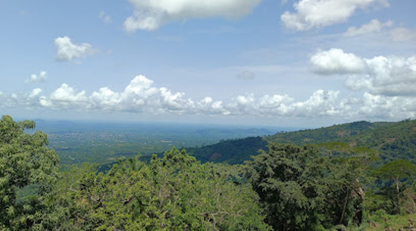 Background