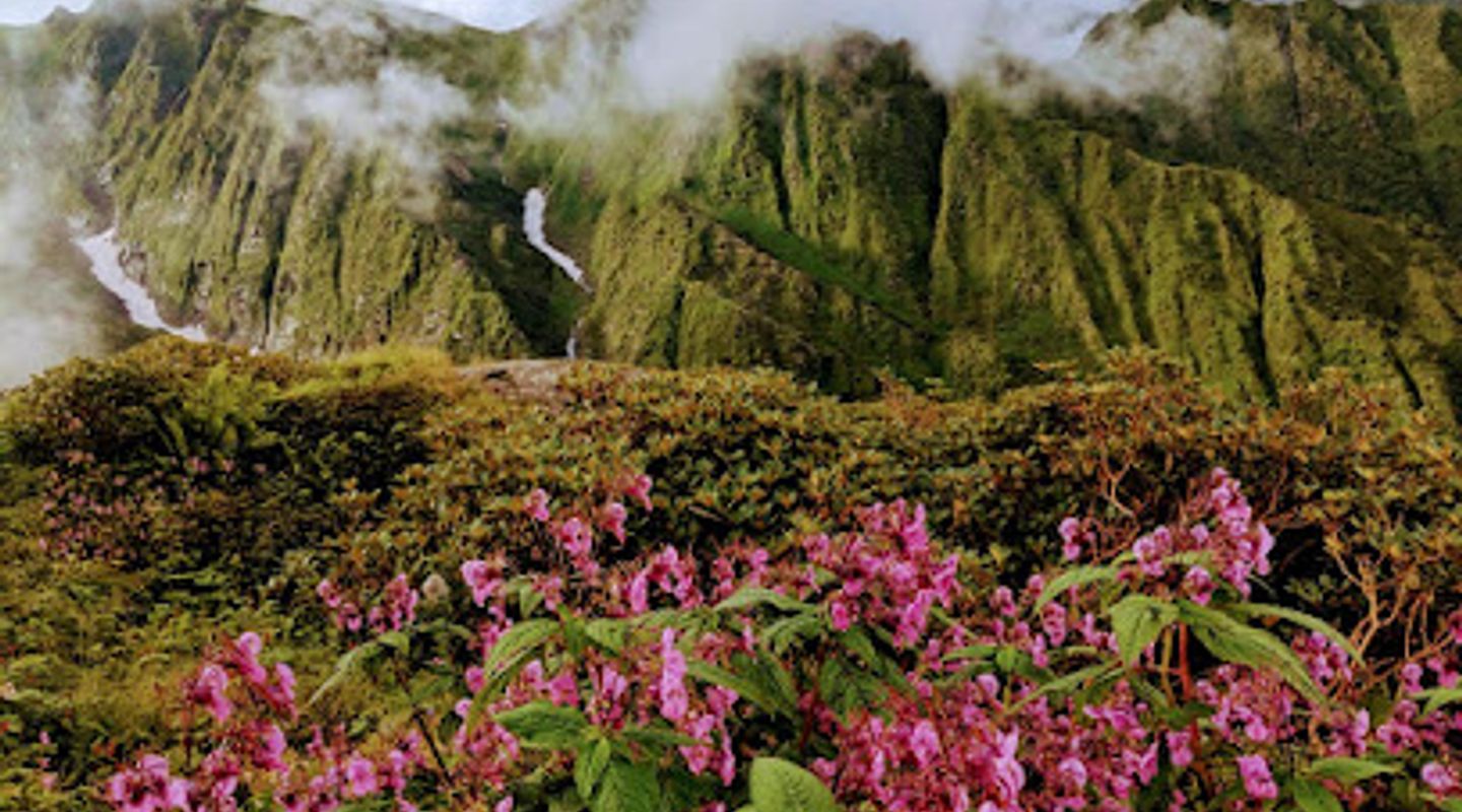 Background