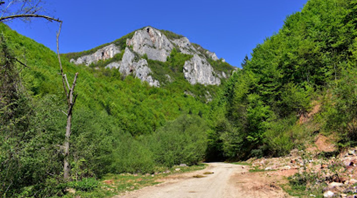Background