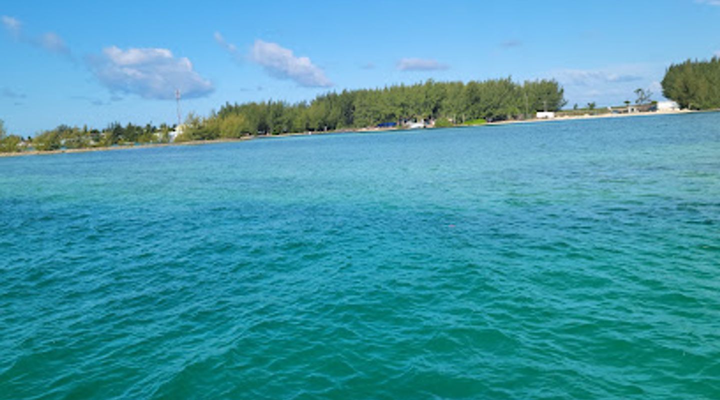 Background