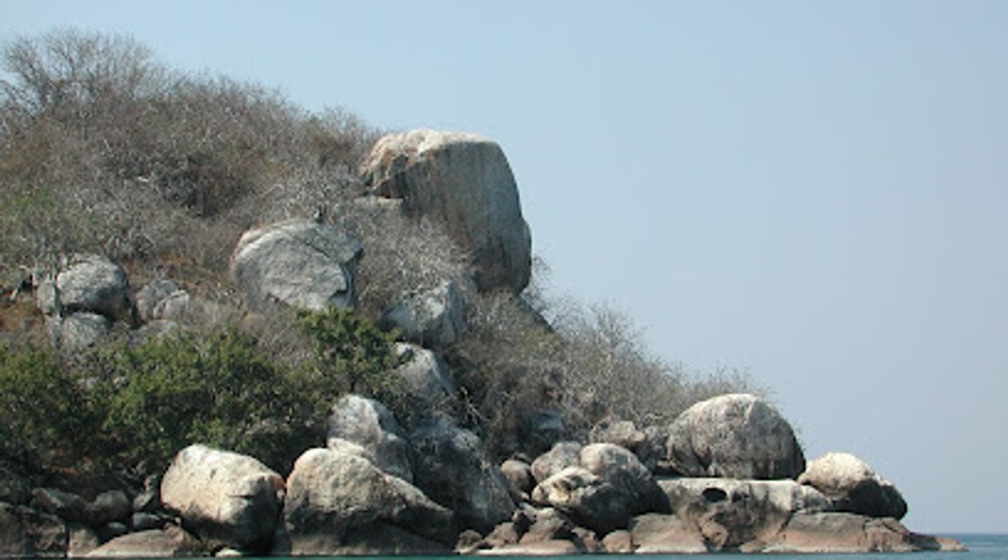 Background