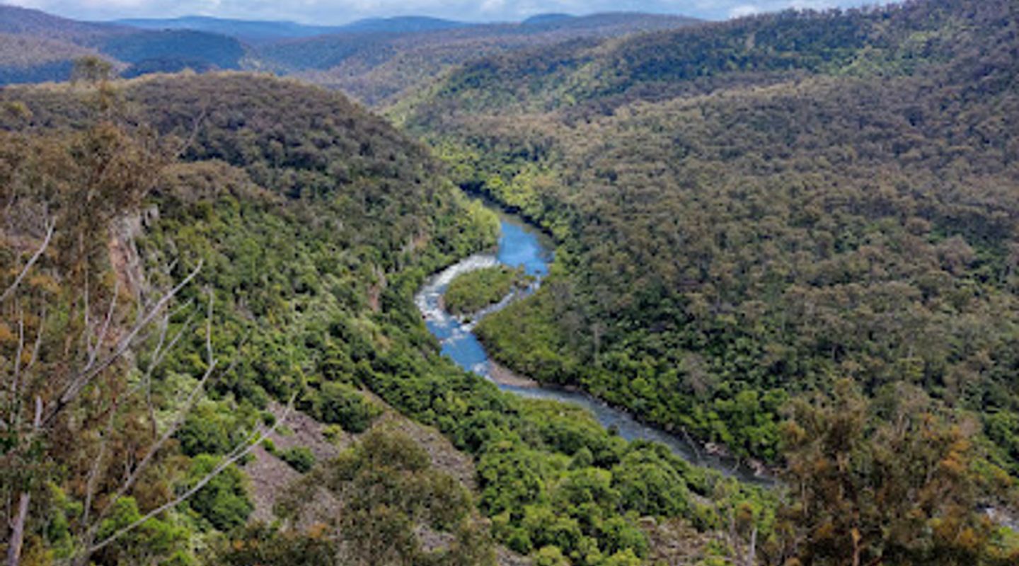 Mitchell River National Park