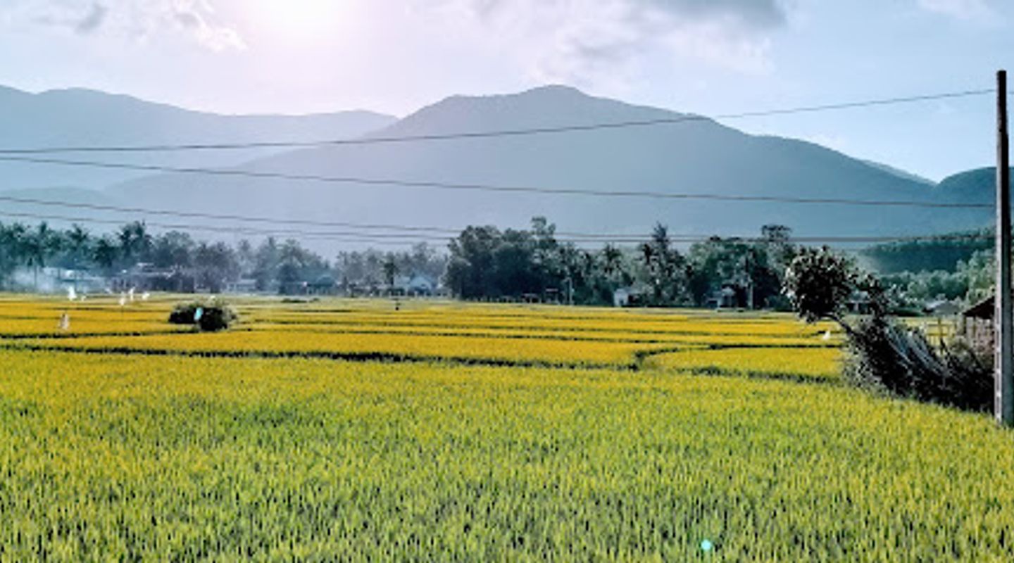 Background