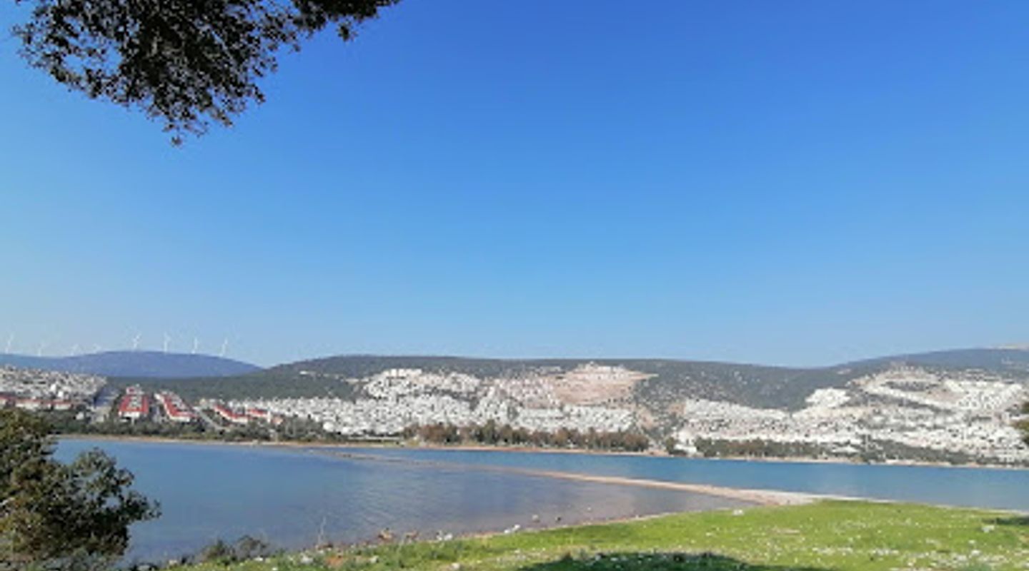 Background