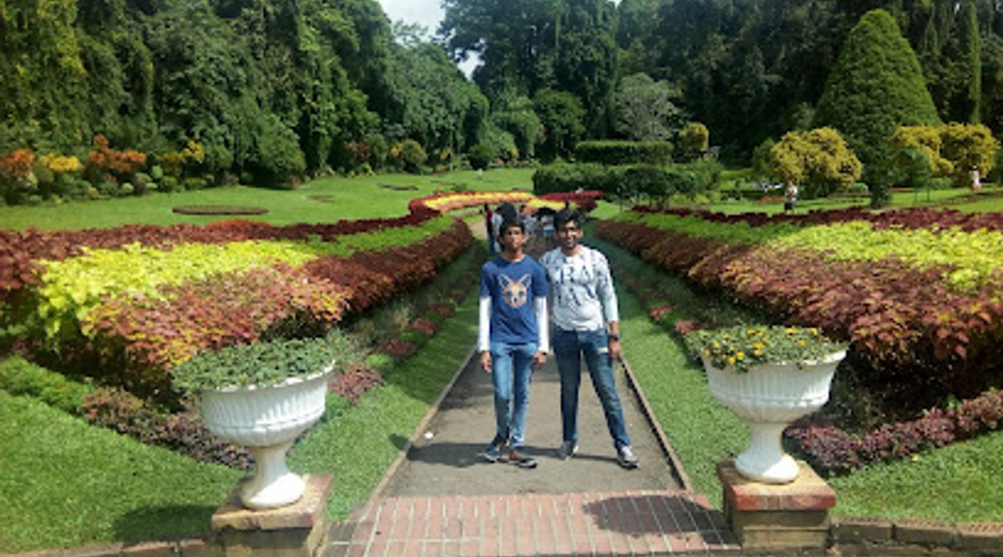 Background