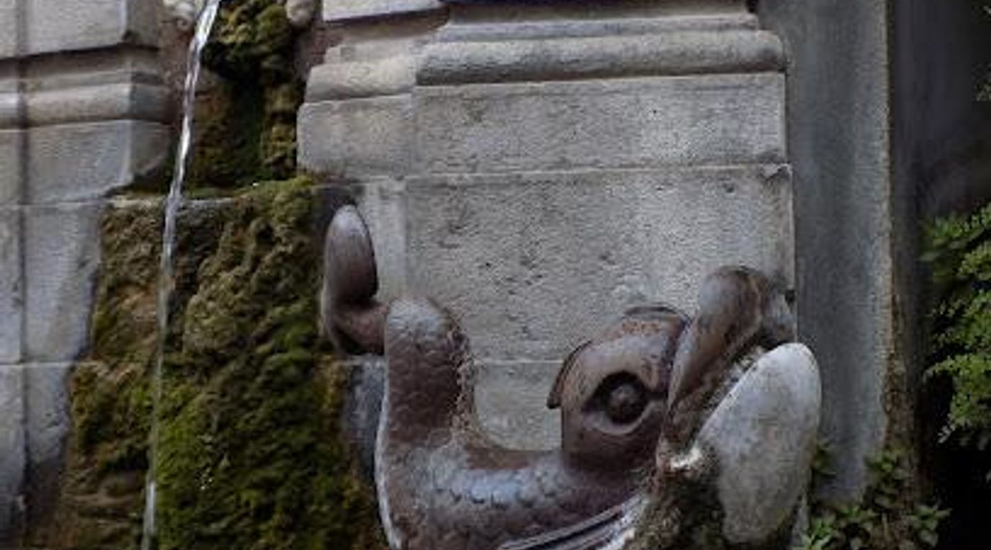 Fontana dei pesci