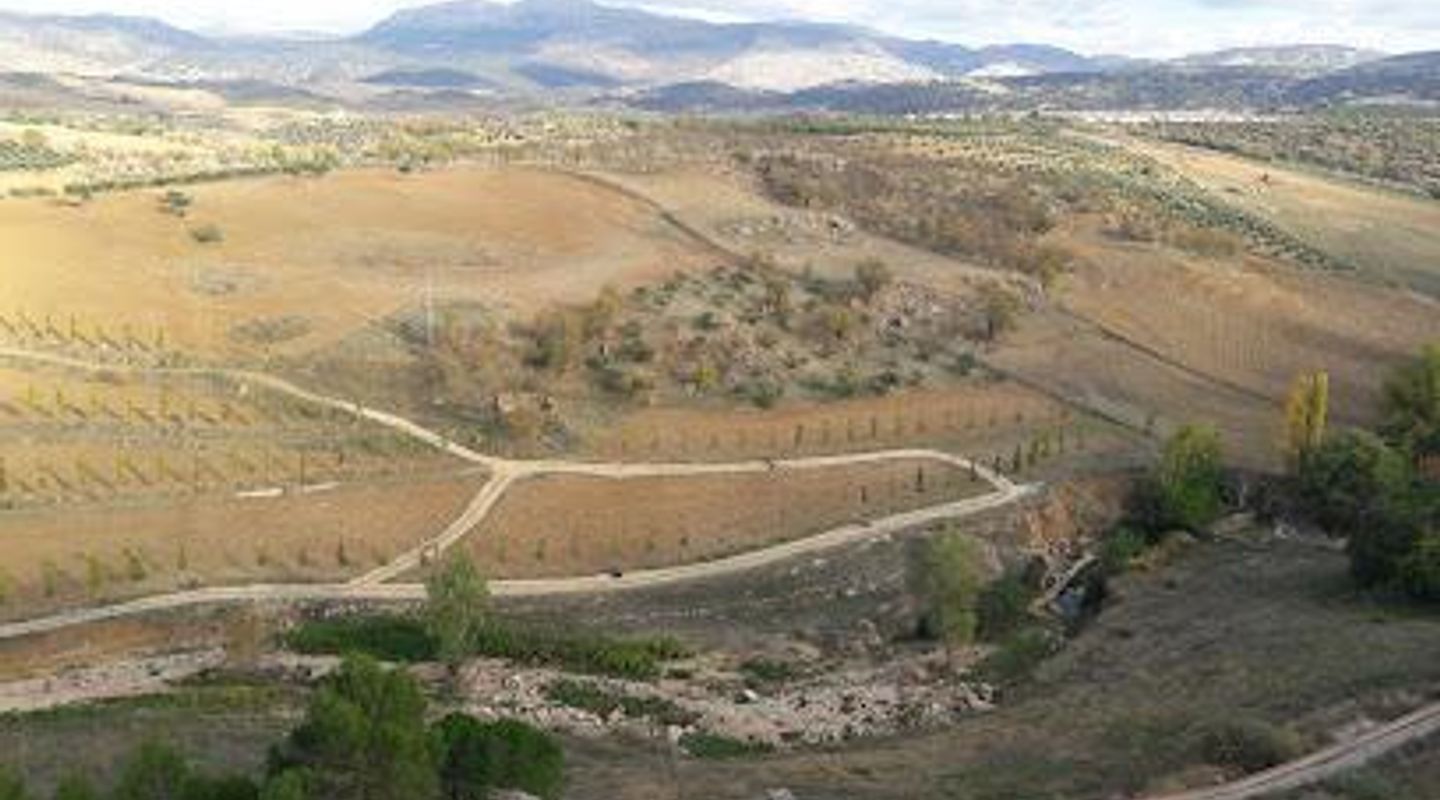 Background