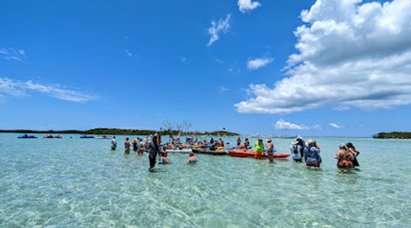 Background
