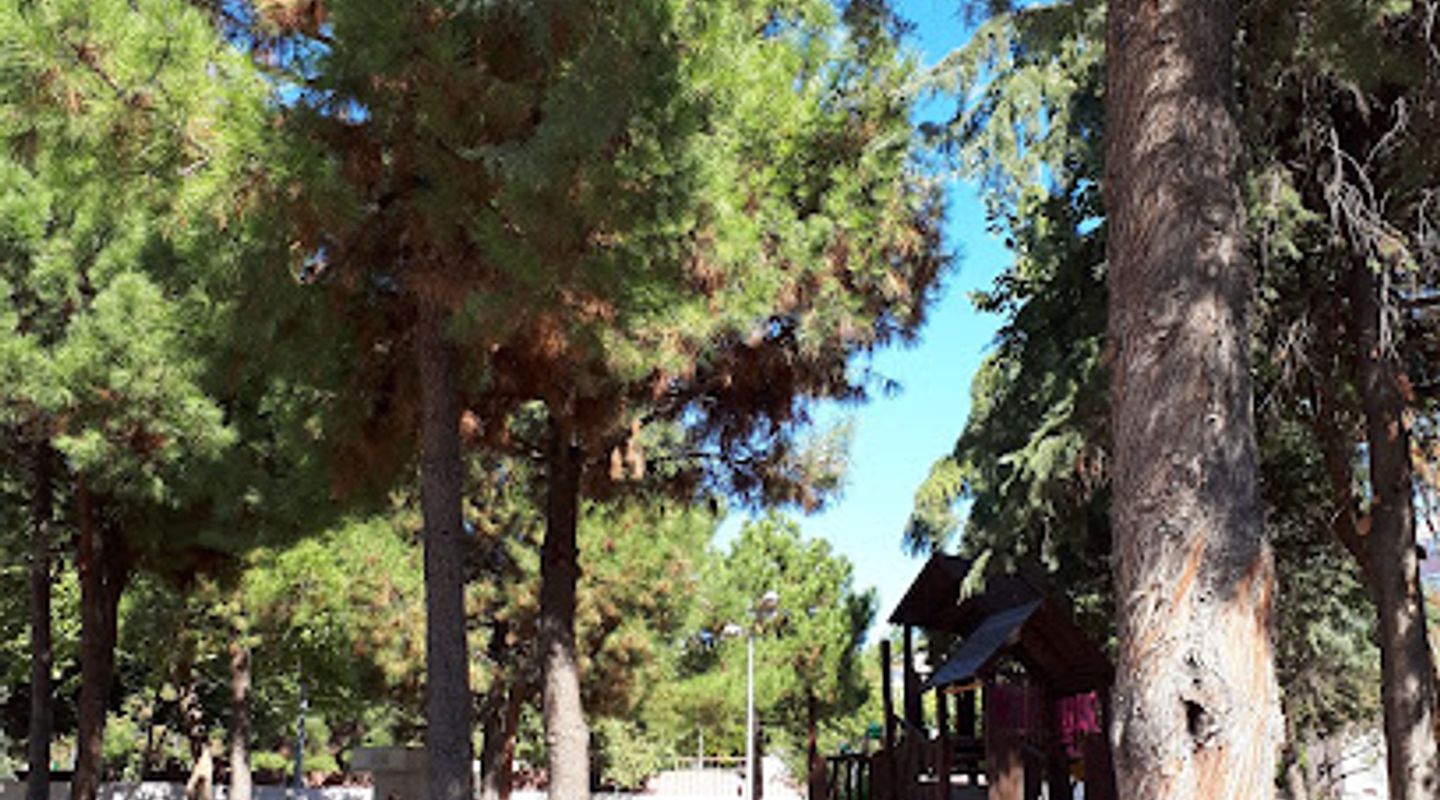 Background