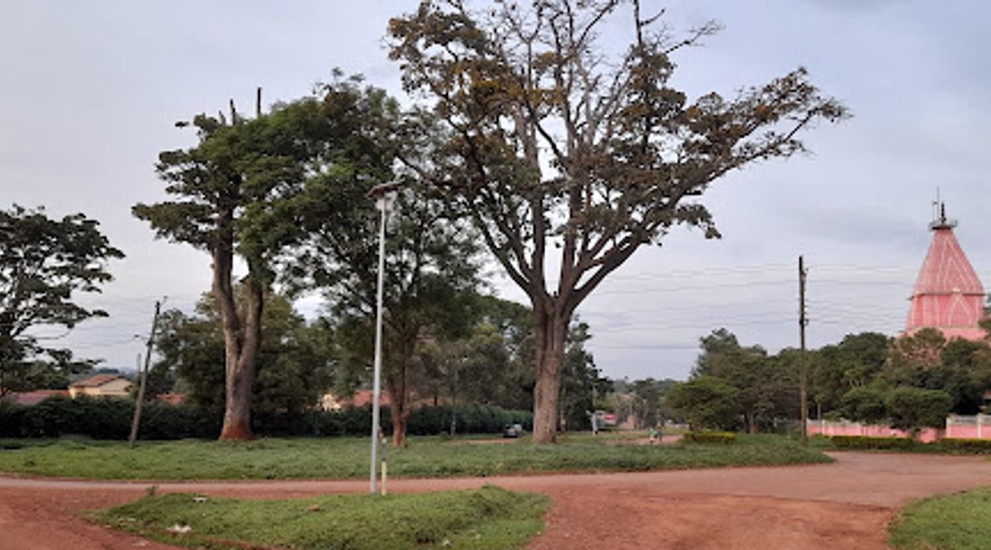 Background