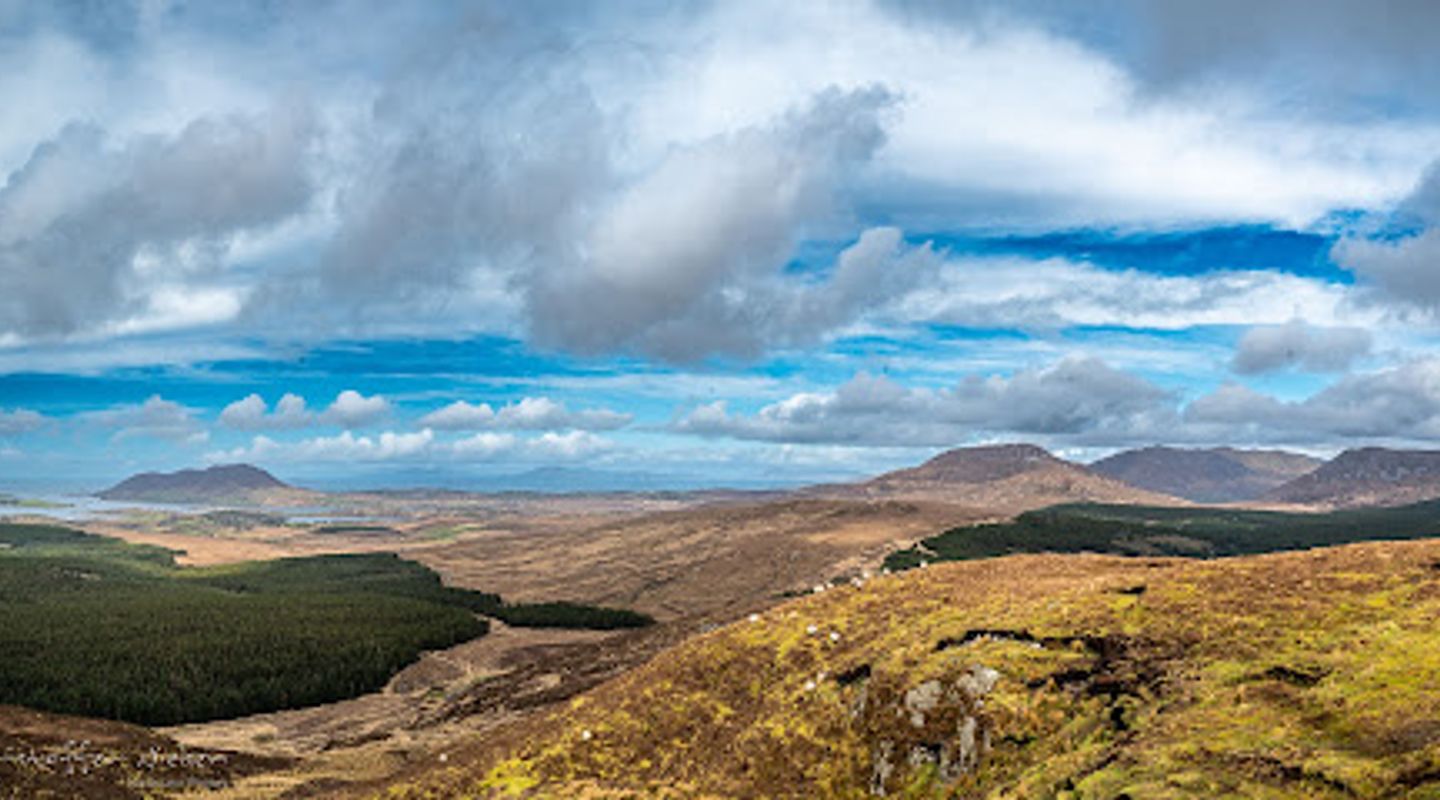 Bogville Panoramic Views