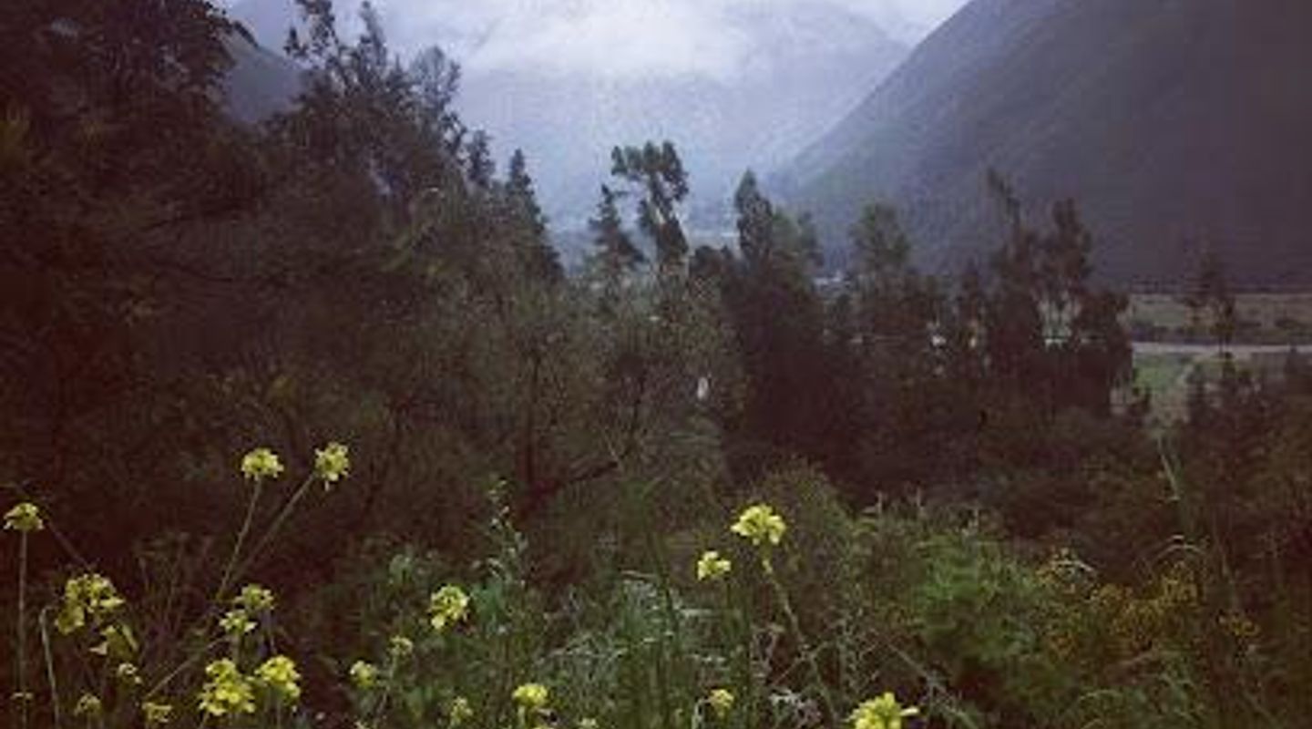 Background