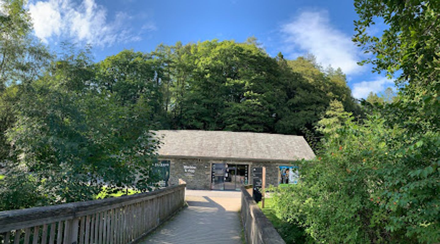 Go Ape Whinlatter