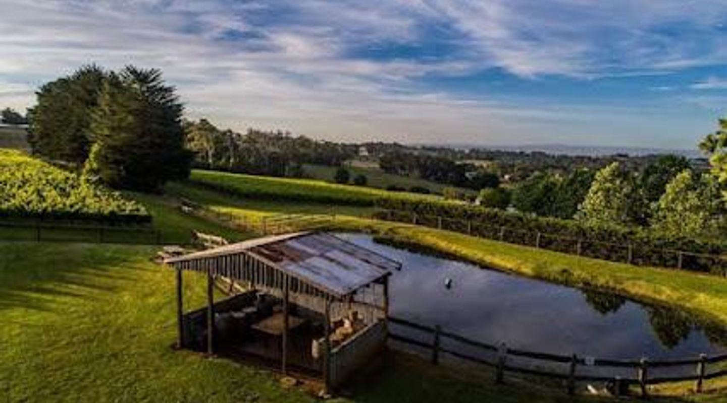 Payne's Rise Wines