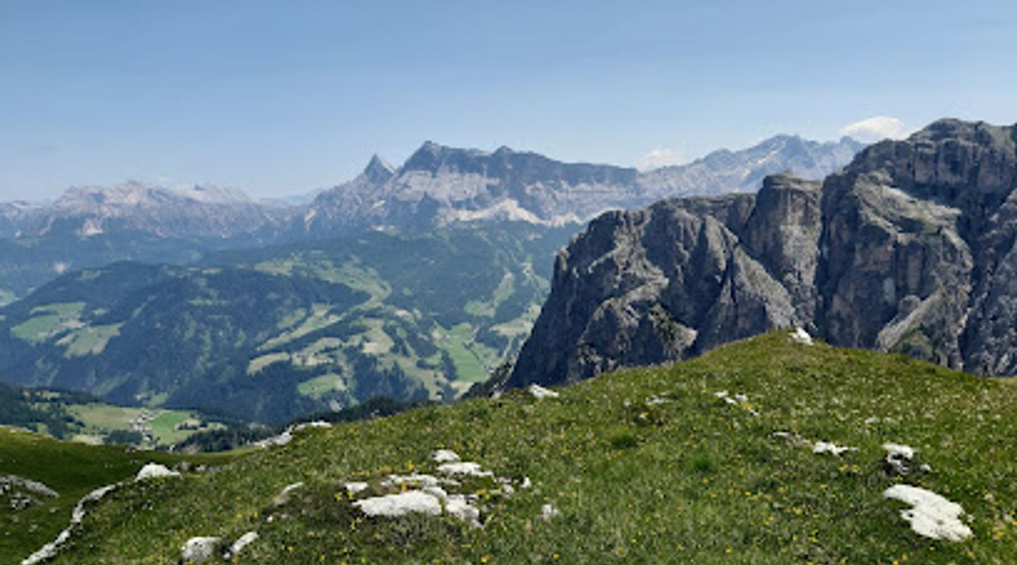 Background