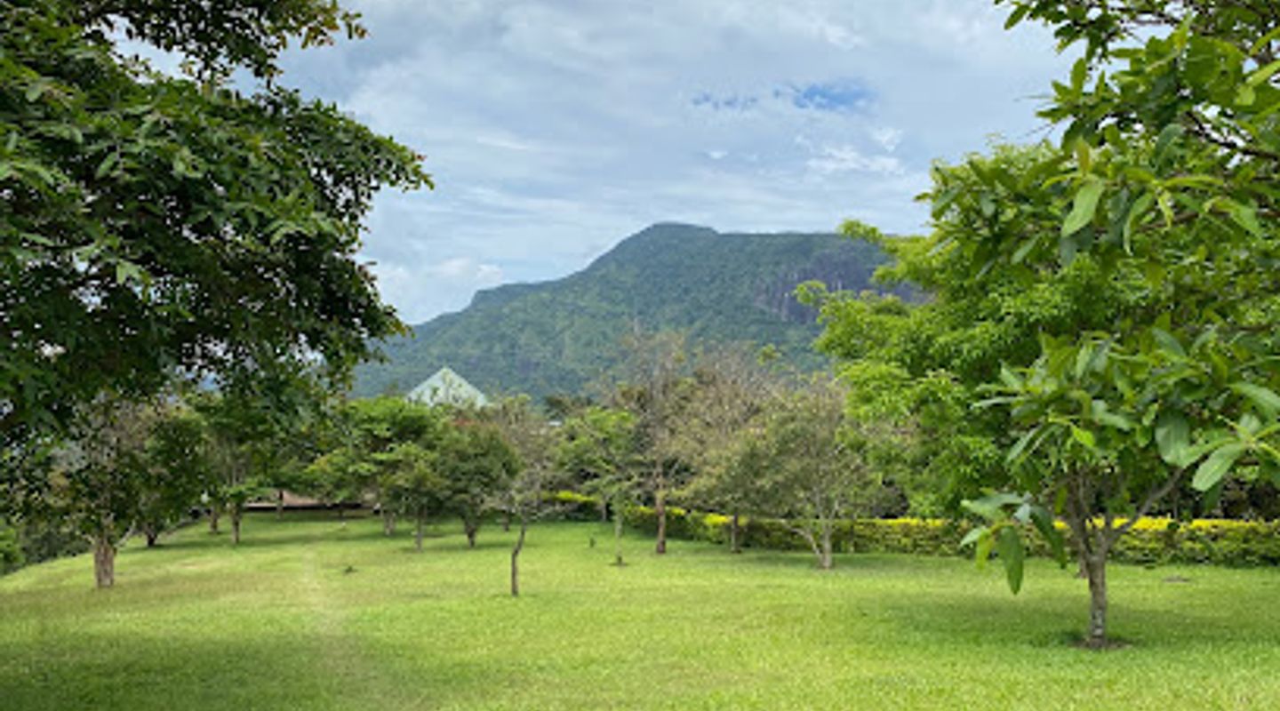 Background