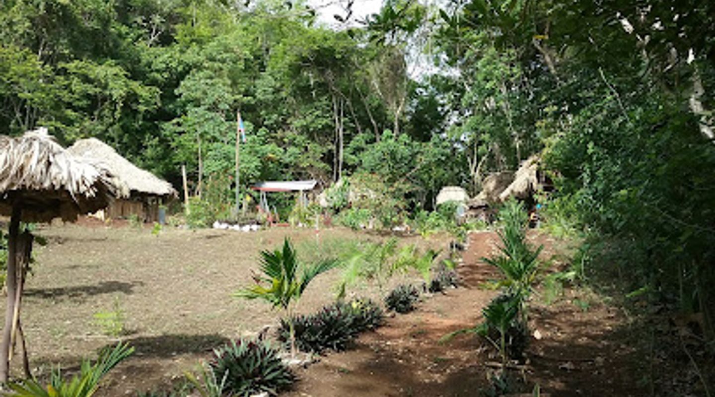 Background