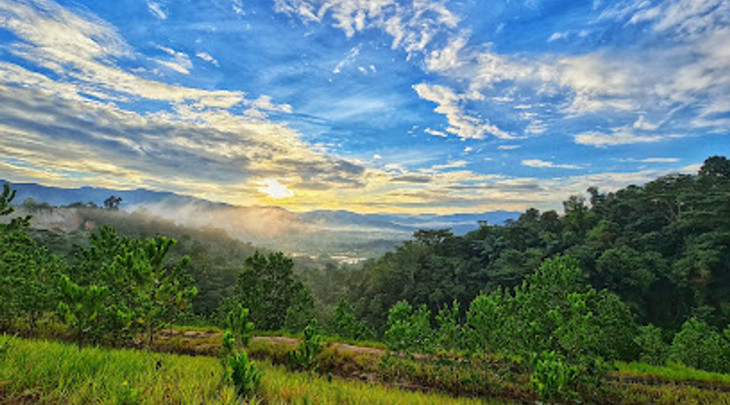 Background