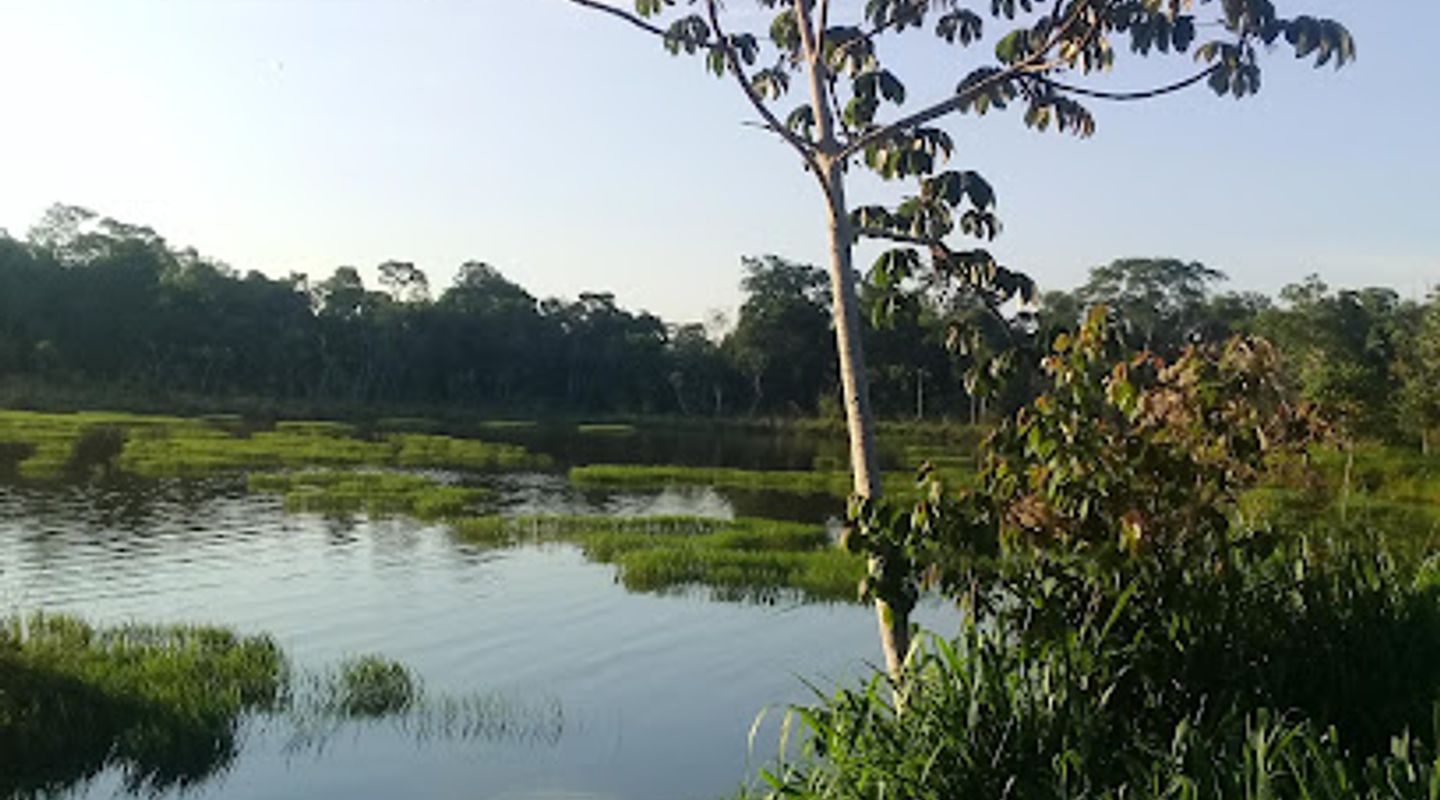 Reserva Selva Iryapú.