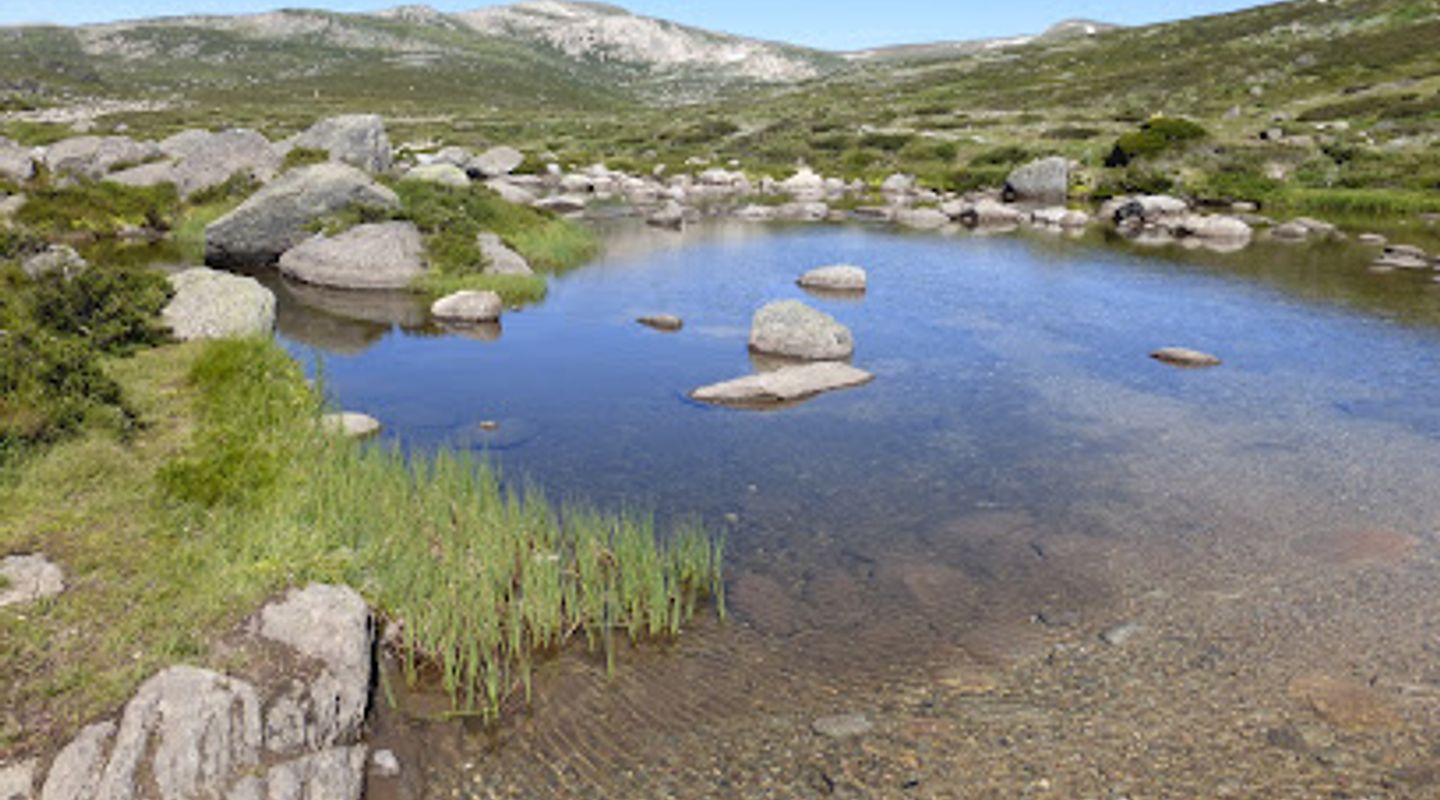 Mt Kosciuszko
