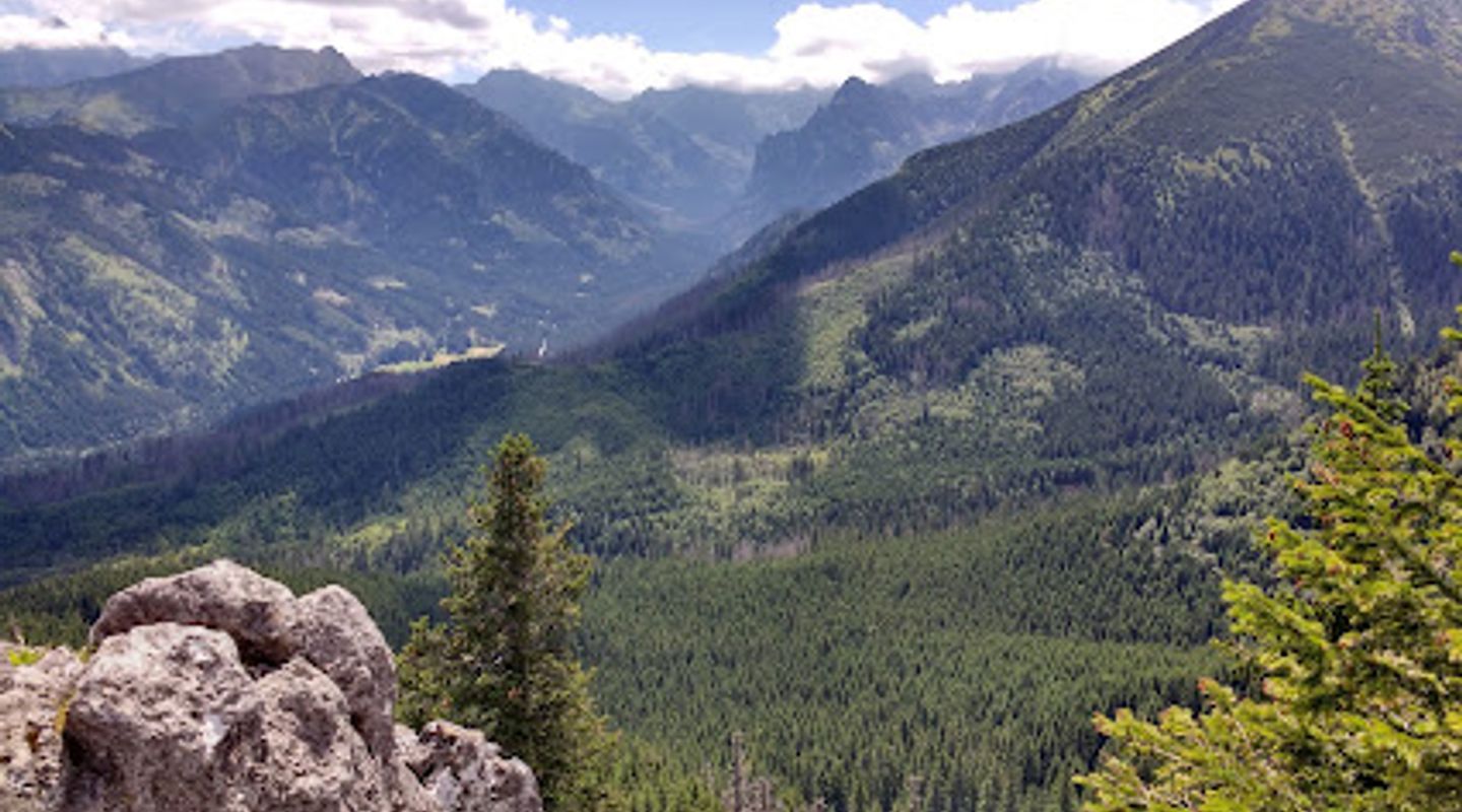 Background