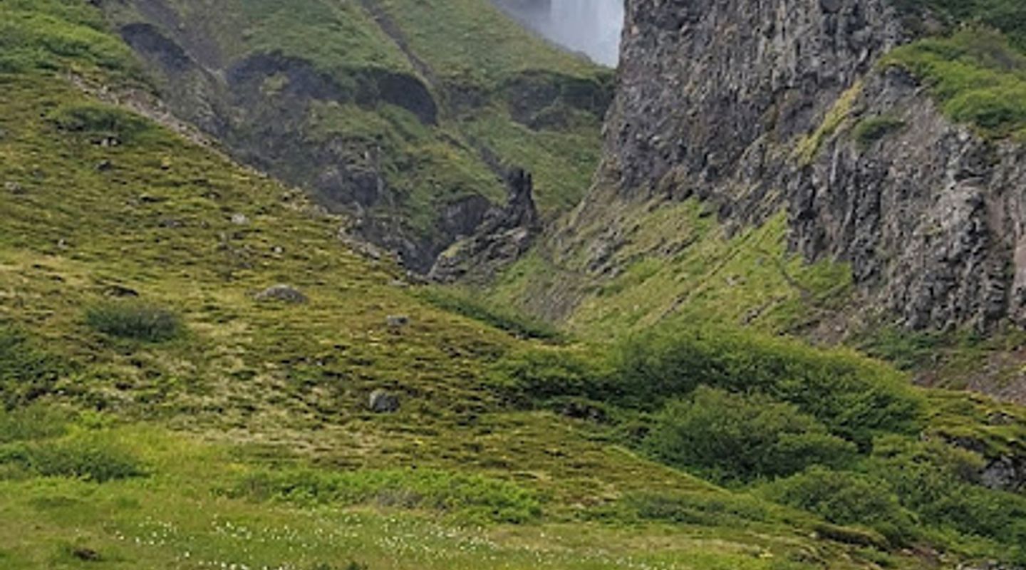 Background
