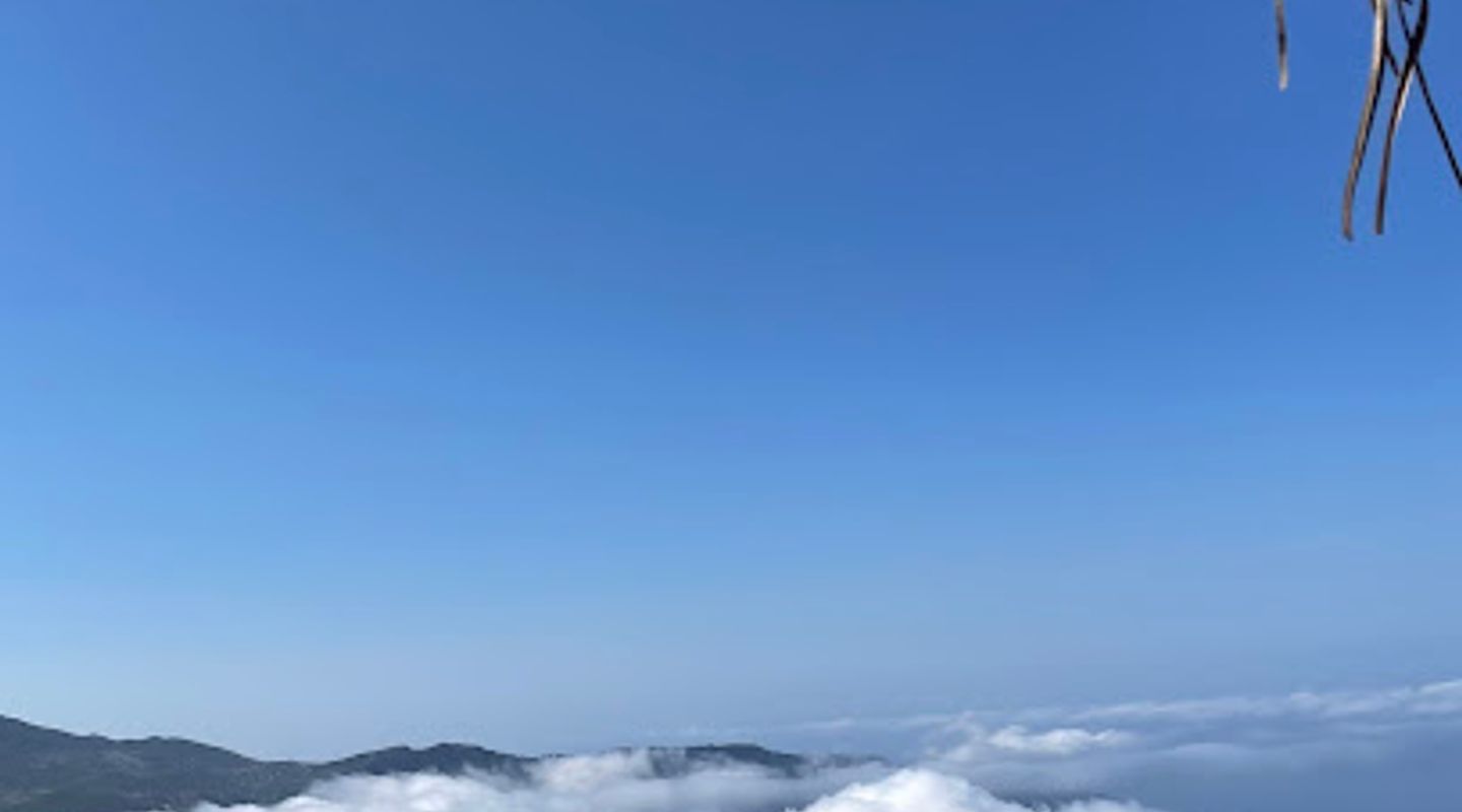 Alınca View Point