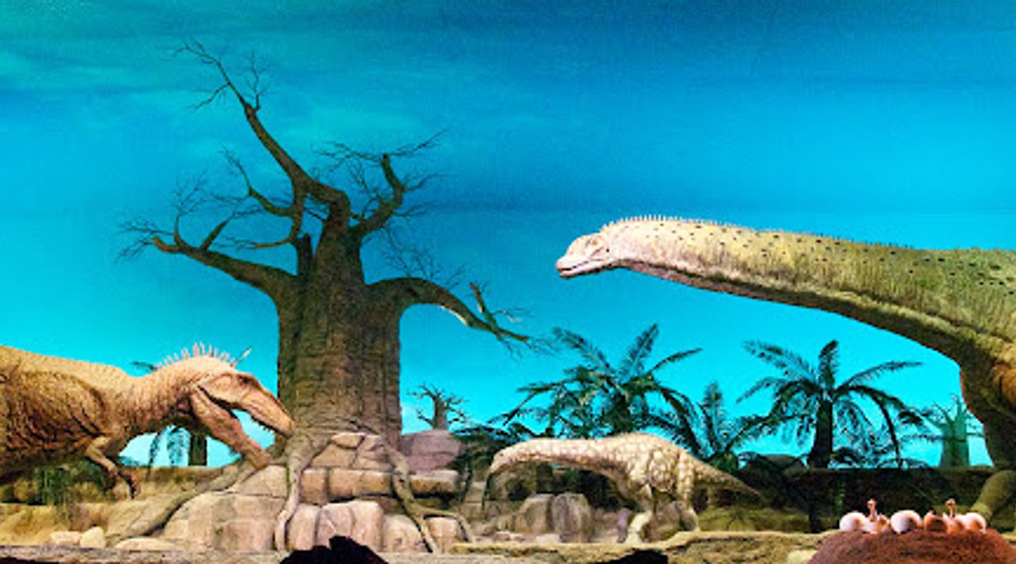 Background
