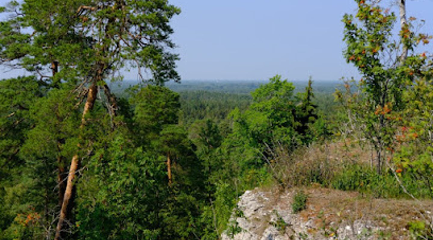 Background