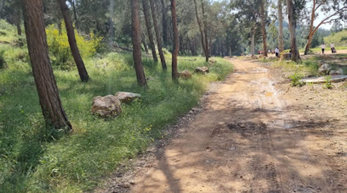 Ben Shemen Forest