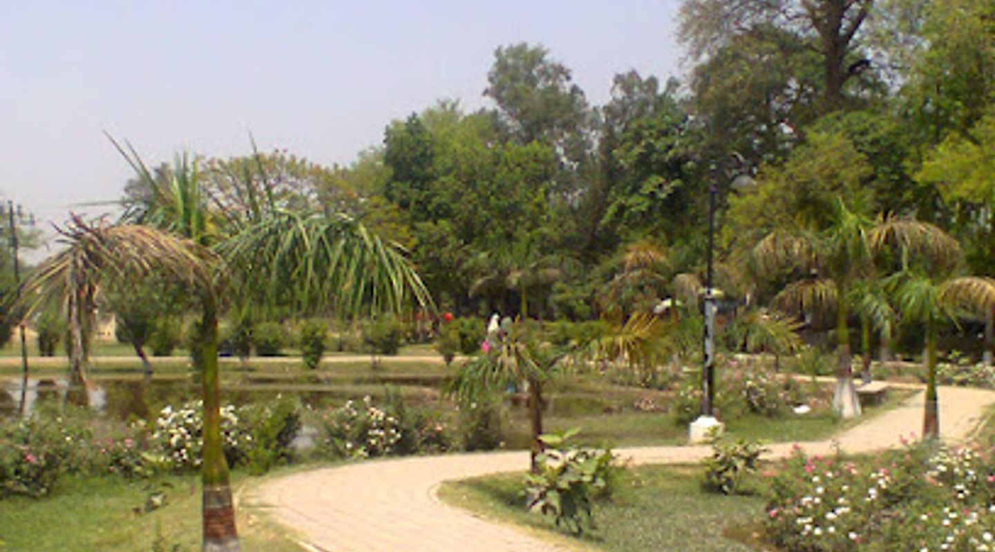 Background